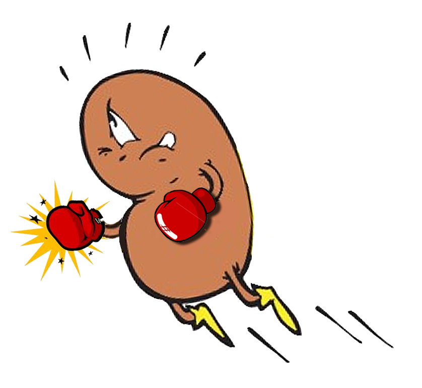 Kidney-Punch-logo-for-Facebook